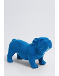 Englische Bulldogge Blau