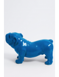 Englische Bulldogge Blau