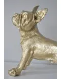 goldener Hund
