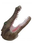 Alligator Krokodil-Kopf, Lebensgroß, Wanddekoration