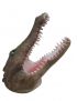 Alligator Krokodil-Kopf, Lebensgroß, Wanddekoration, Designer Deko Figur Hochglanz-Lack
